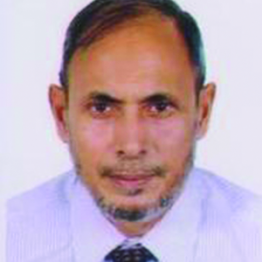M. Shamsul Hoque